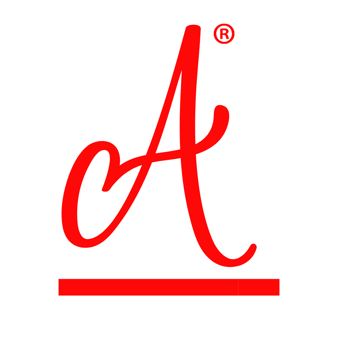 AI Developer India Logo